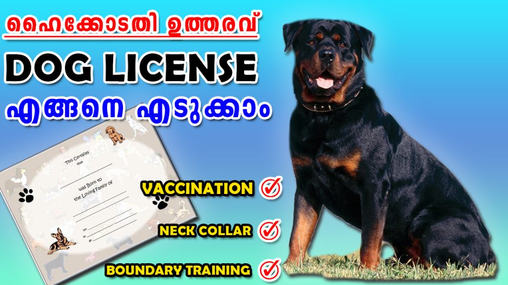 HOW TO GET DOWG LISENCE IN KERALA