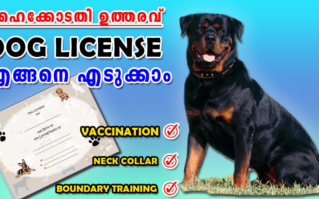 HOW TO GET DOWG LISENCE IN KERALA