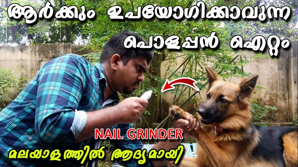How to cut dog nails