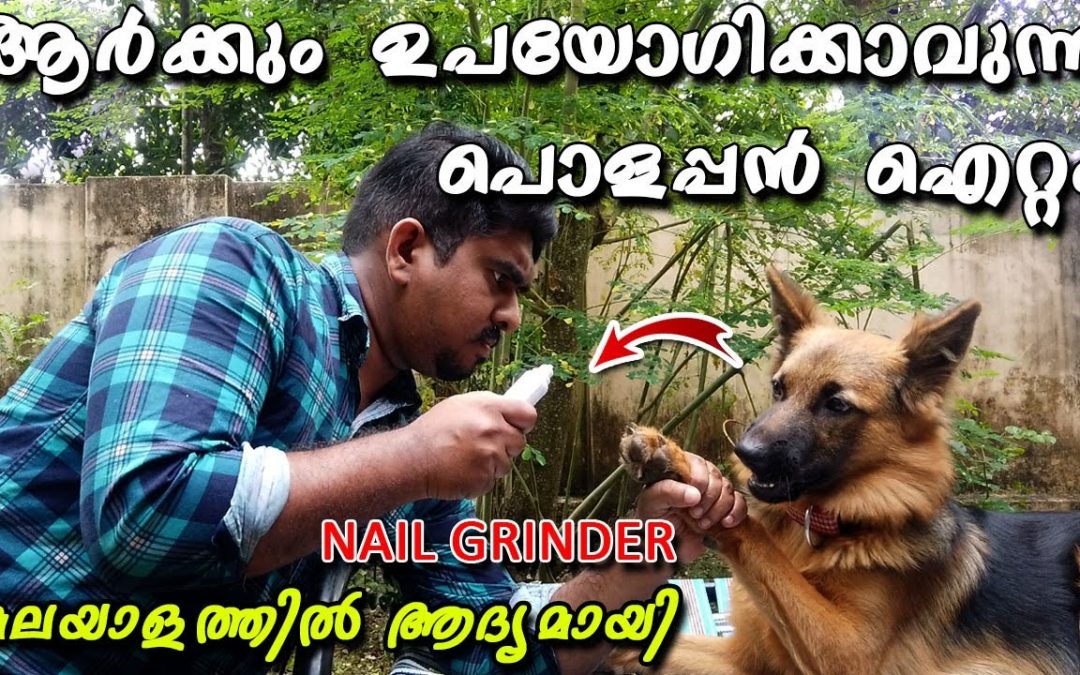 നായയുടെ നഖം കളയാൻ ഒരു എളുപ്പമാർഗ്ഗം.(Dog Nail Trimmer & Grinder)