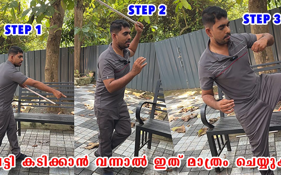 പട്ടി കടിക്കാൻ വന്നാൽ എന്ത് ചെയ്യണം? Prevent yourself from a dog bite?