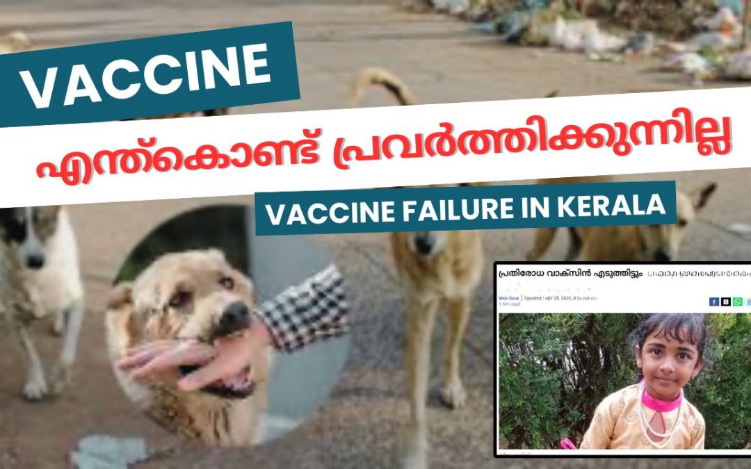 vaccine failure